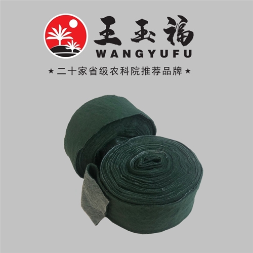 王玉福裹树布